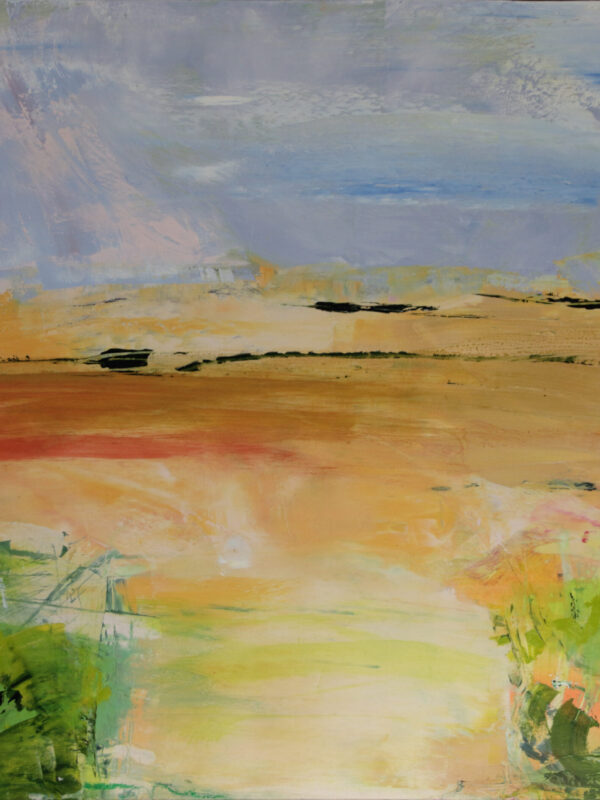Fields of Clover